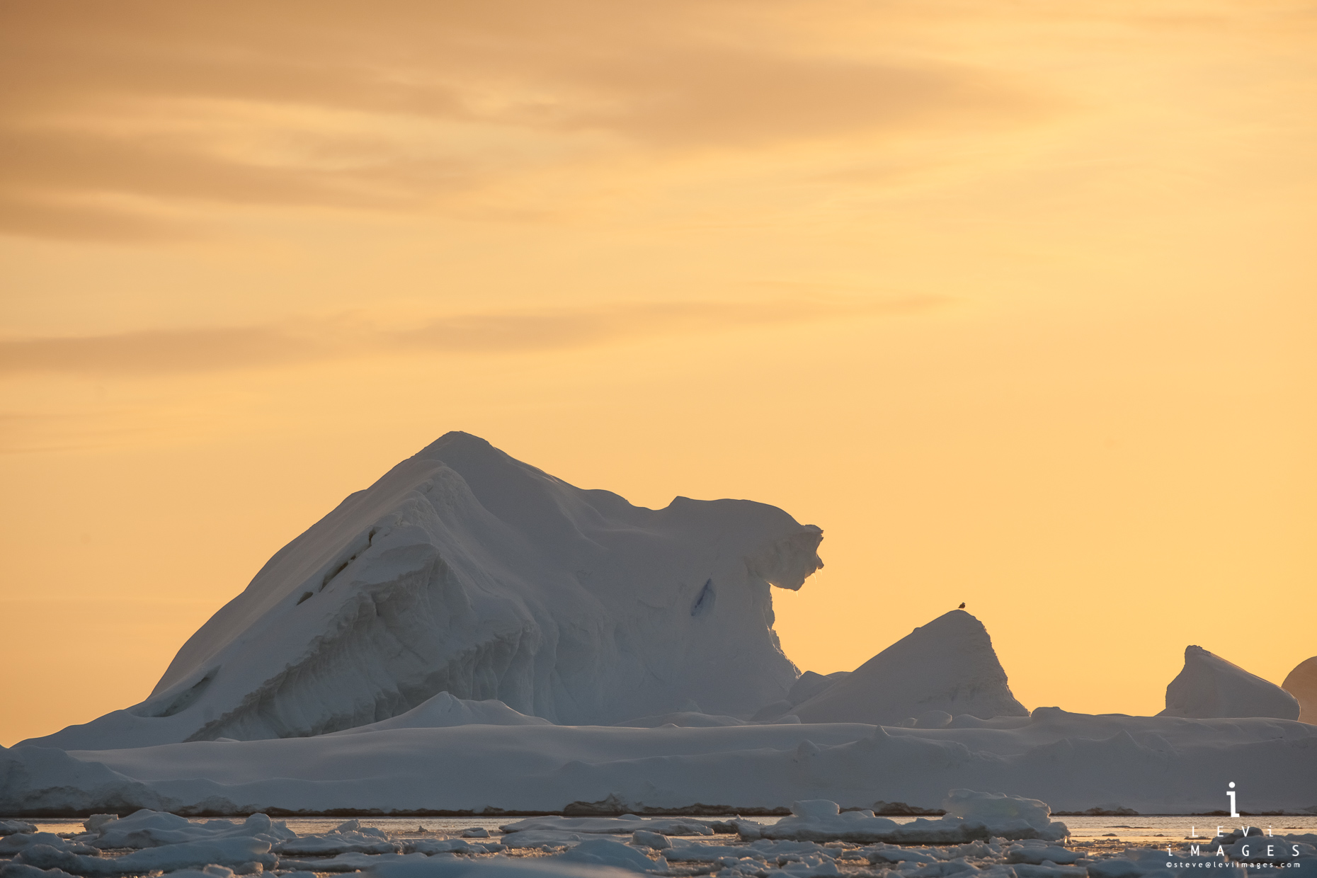 sphinx-like iceberg looks at a bird in golden light. Booth island, Antarctica