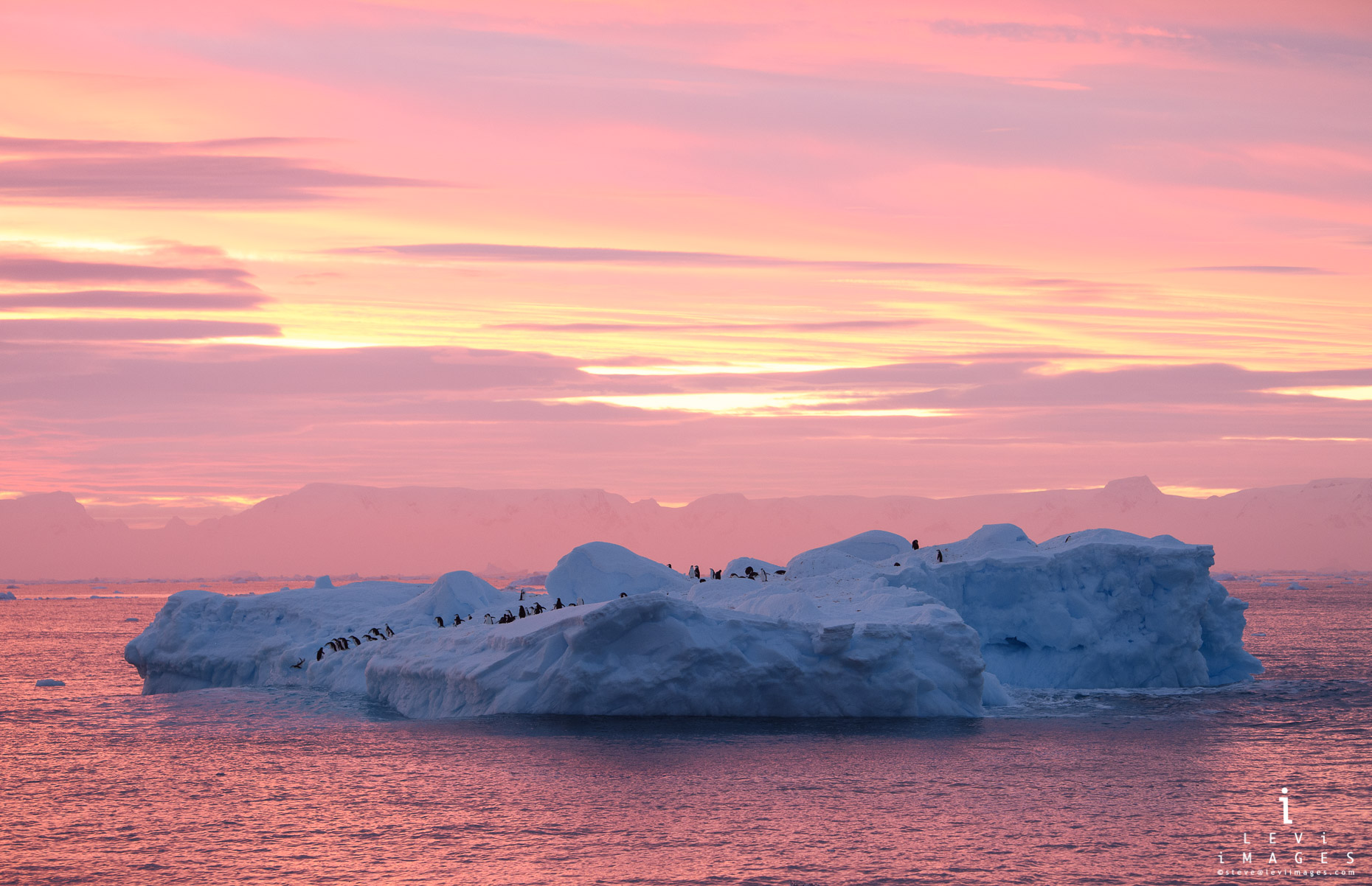 Penguins on iceberg at sunrise. Antarctic Sound, Antarctica