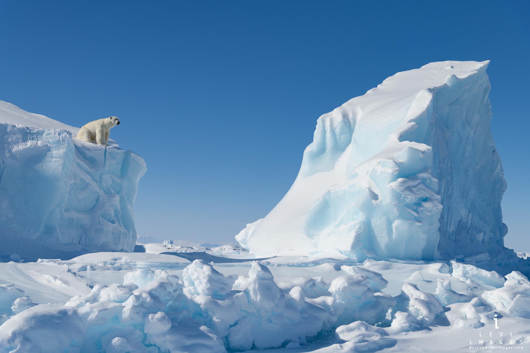 Polar bear (Ursus maritimus) looks out from iceberg in surreal winter environment. Baffin Island, Nunavut,Canada
